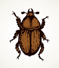 Chafer. Vector drawing of a big beetle