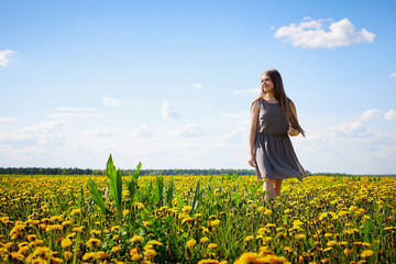Fototapeta premium Beautiful young woman on a field with green grass and yellow dandelion flowers in a sunny day. Girl on nature with yellow flowers and blue sky.