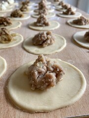 polish pierogi dumplings home made