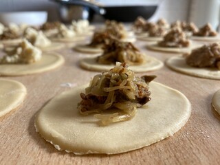 polish pierogi dumplings home made