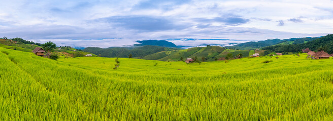 Panorama of rice terraces field at pabongpaing village rice terraces Mae-Jam Chiang mai, Thailand