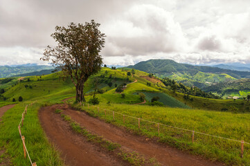 Summer mountains green grass landscape, Doi mae Tho, Chiang Mai, Thailand