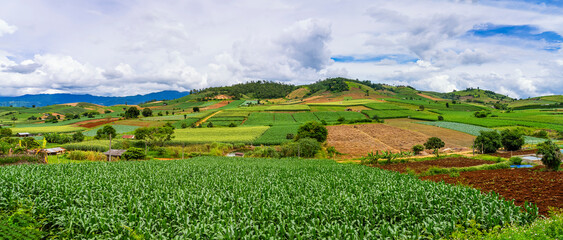 Panorama of rice terraces field at pabongpaing village rice terraces Mae-Jam Chiang mai, Thailand