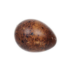 Raw quail egg, isolated on white background.