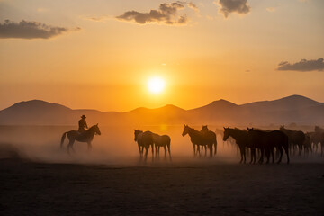 Naklejka na ściany i meble Wild horses run in foggy at sunset. Between Cappadocia and Kayseri, Turkey