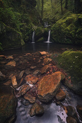 waterfall in the woods