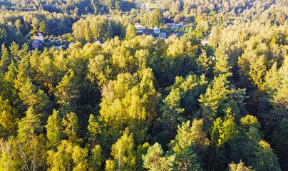 Fototapeta premium Beautiful top view of forest landscape with green trees
