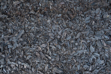 black texture wood 