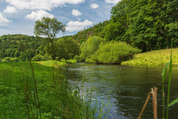 Fototapeta na wymiar Weisse Elster river with meadow and trees around in Germany