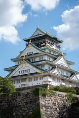 Fototapeta premium japanese castle