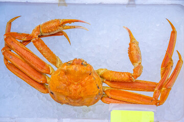 Red King Crab (Taraba crab) or Alaska King Crab  at seafood market in Hakodate, Hokkaido