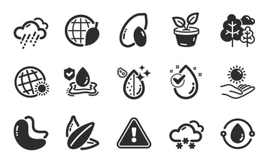 Snow weather, Cashew nut and Leaves icons simple set. Peanut, Cold-pressed oil and Water drop signs. Sunflower seed, Flood insurance and Dirty water symbols. Flat icons set. Vector