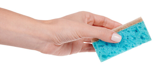 Hand with blue sponge for cleaning and washing dishes.