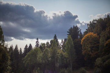 Heavenly landscape. Clouds in the early evening. Beautiful background from the sky.