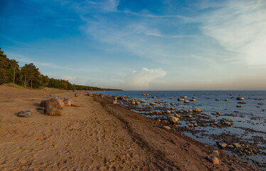 Coast of a Gulf of Finland