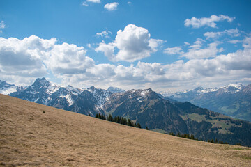 Beautiful swiss alps mountains. Alpine meadows.  