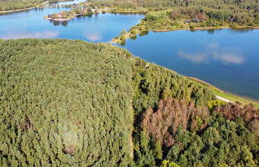 Top view of the forest near the lake
