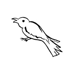 Halloween doodle crow or magpie bird element. Isolated vector illustration for horror design