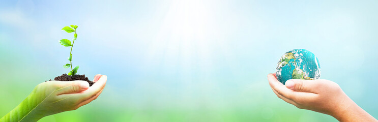 Environment Day concept: hands holding earth globe and tree over blurred nature background. Elements of this image furnished by NASA