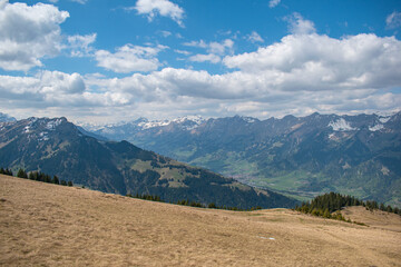 Beautiful swiss alps mountains. Alpine meadows.  