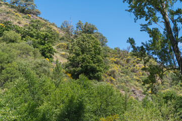 Mountainous landscape in the south of Spain