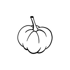 Halloween doodle pumpkin element. Isolated vector illustration for holiday design