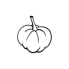 Halloween doodle pumpkin element. Isolated vector illustration for holiday design