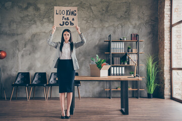 Full size photo of upset girl banker economist hold cardboard text look for job lose company bankrupt wear blazer jacket suit high-heels in workplace workstation