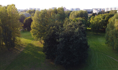 Top view of a beautiful summer city park with green and yellow trees