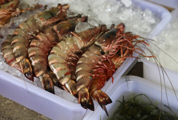 Closeup of fresh raw shrimps with ice selling at sea food store.