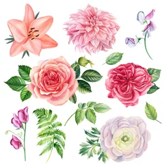 Schilderijen op glas Set flowers. Roses, lilies, anemones, sweet peas, ranunculus, dahlia on white isolated background, watercolor drawings. © Hanna