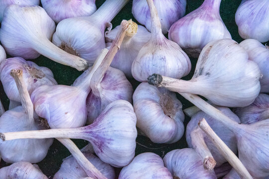 Bulk Garlic for sale in a market.