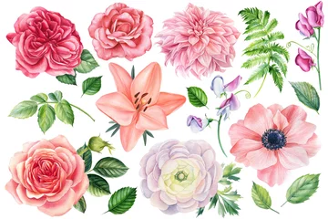 Abwaschbare Fototapete Delicate flowers. Roses, lilies, anemones, sweet peas, ranunculus, dahlia watercolor drawings. © Hanna