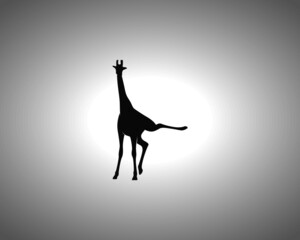 Giraffe Silhouette on White Background. Isolated Vector Animal Template for Logo Company, Icon, Symbol etc