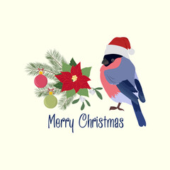 Vector Christmas illustration with fir branches, Christmas balls, bullfinch in Santa hat and text.