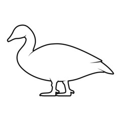 Duck or Goose Silhouette on White Background. Isolated Vector Animal Template for Logo Company, Icon, Symbol etc
