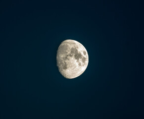 big moon in the night