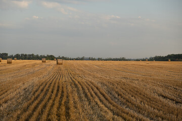 plowed field in autumn