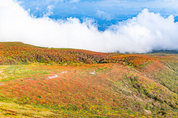 栗駒山全山紅葉神の絨毯と登山道と雲