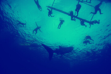 coral reef vintage toning / unusual landscape, underwater life, ocean nature