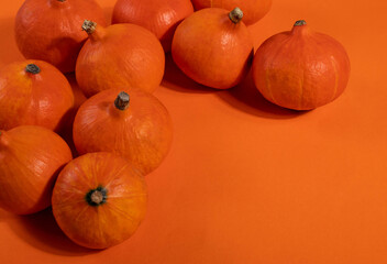 orange little pumpkins