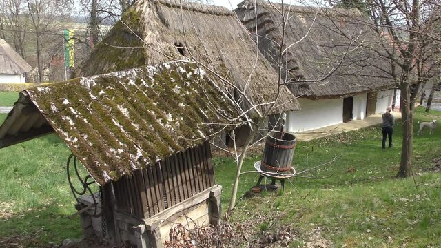 thatched roof, of a wine press house, Heiligenbrunn, Burgenland, Austria