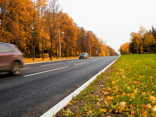 Obraz premium Asphalt road with fallen leaves inl autumn forest. Focus on foreground.