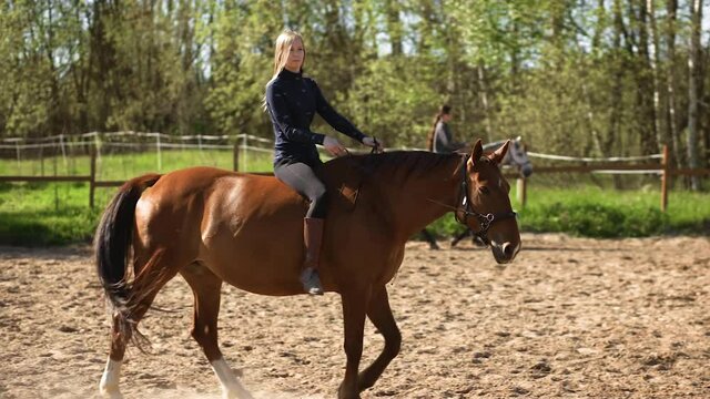 Two female equestrians bareback riding brown and grey horse during training