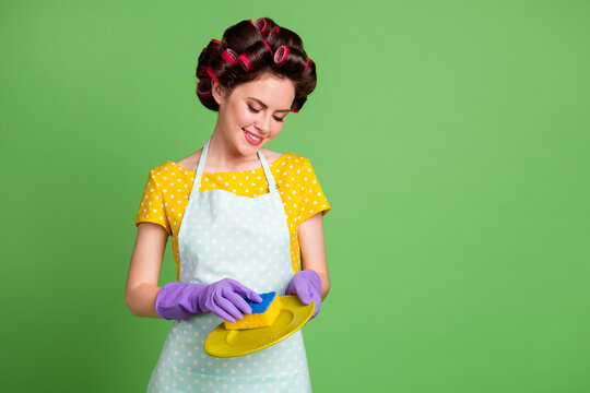 Photo positive house wife vintage lady wash plates sponge prepare family meeting event holiday dinner wear violet gloves dotted dress hair rollers curlers isolated green color background