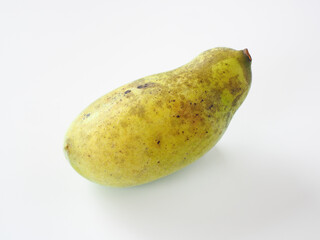 ポポーの実　白バック