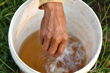 farmer hand drops liquid chemical to water in white bucket preparation for spray machine in rice...