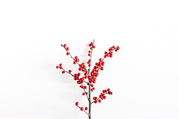 Minimal seasonal composition. Pattern of branch with red berries on isolated white background. Christmas holidays, winter concept. Header, copy space.