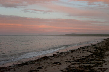 pink sunset on the white sea