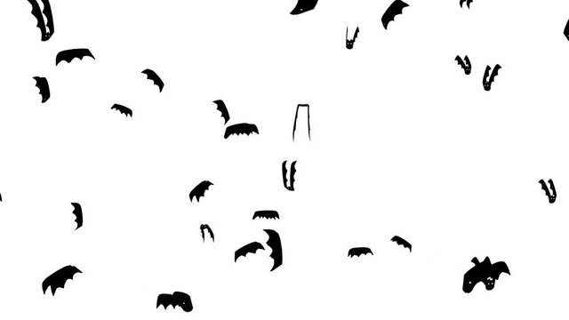 Animated bats flying isolated on white background